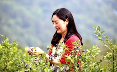 青青草地视视频